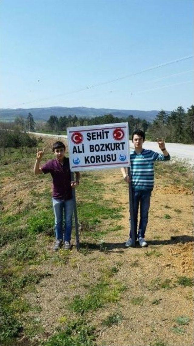 Yenice’de Şehit Ali Bozkurt Korusunun Tabelası Dikildi