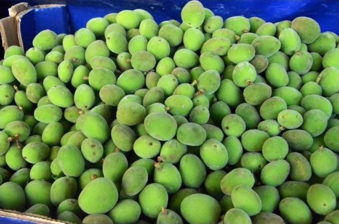 Malatya Kayısısından &Ouml;nce Mut Kayısısı Tezgahlarda