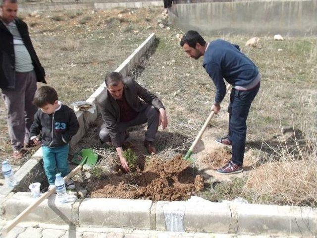 Bayburt &Uuml;niversitesi &Ouml;ğrencileri Bayburt &Ccedil;evresini Ağa&ccedil;landırıyor 2