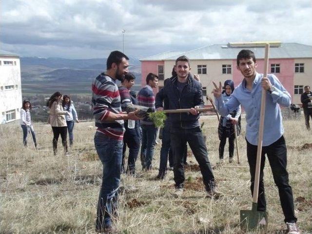 Bayburt &Uuml;niversitesi &Ouml;ğrencileri Bayburt &Ccedil;evresini Ağa&ccedil;landırıyor 3