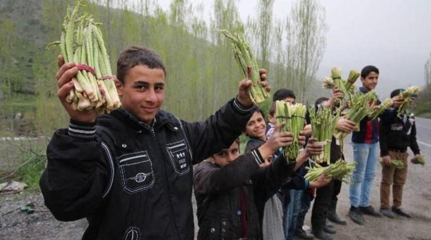 Okul Har&ccedil;lıkları U&ccedil;kundan