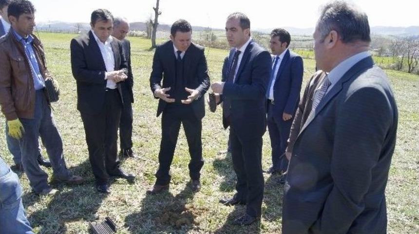 Asarcık&rsquo;ta Tr&uuml;f Mantarı Yetiştirilecek