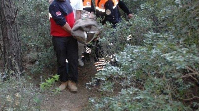 Fransız Dağcı Ölümden Döndü