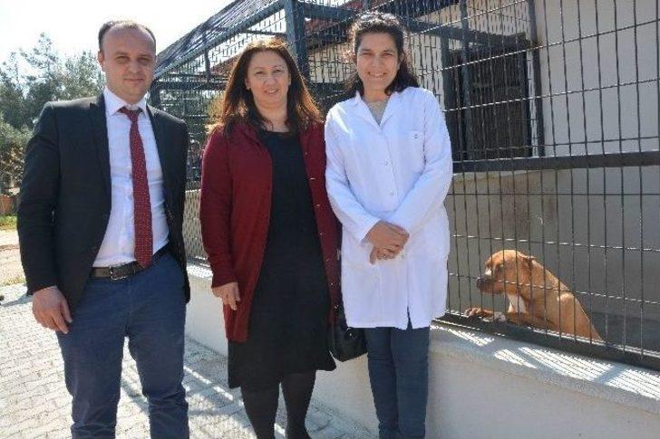 (özel Haber) Hırsızların Gözü Bu Barınakta G4