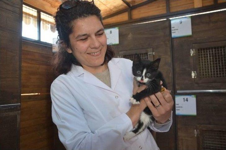 (özel Haber) Hırsızların Gözü Bu Barınakta G5