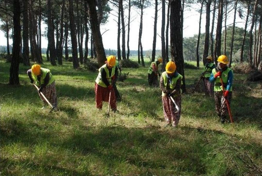 Piknik Havasında İş