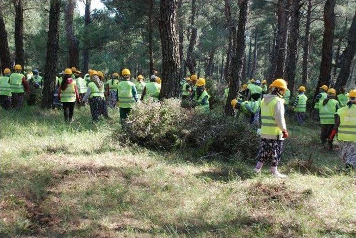 Piknik Havasında İş G1