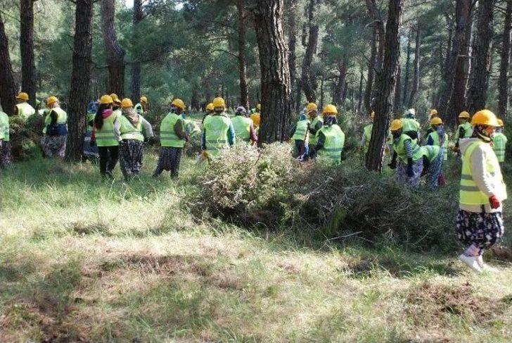 Piknik Havasında İş G2