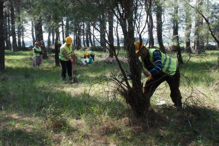 Piknik Havasında İş G3