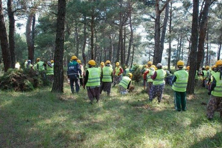 Piknik Havasında İş G4