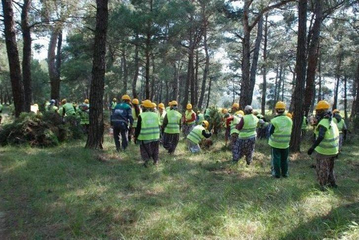 Piknik Havasında İş G5