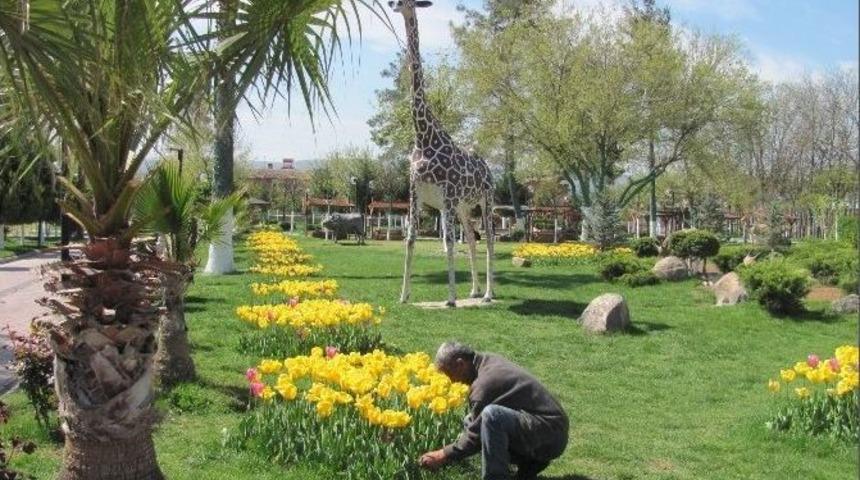 Araban Belediyesi Parkta Yaza Hazırlık &Ccedil;alışması Başlattı