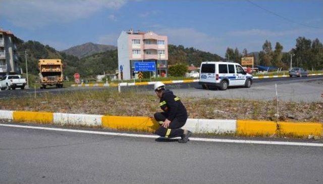 Kopan Yüksek Gerilim Hattı Teli Korkuttu