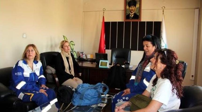 Chp'li Onur Ile Haytap &Uuml;yeleri, Vurulan Katırlar I&ccedil;in Şırnak'ta