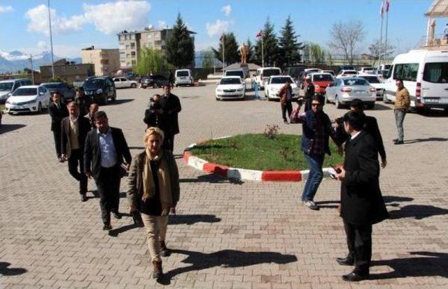 Chp'li Onur Ile Haytap Üyeleri, Vurulan Katırlar Için Şırnak'ta