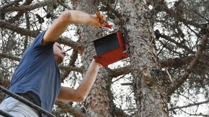 &Ouml;ğrencilerden Kuşlara Yuva