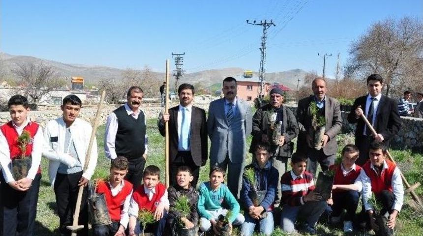 7&rsquo;den 70&rsquo;e Fidan Dikmeye Koştular