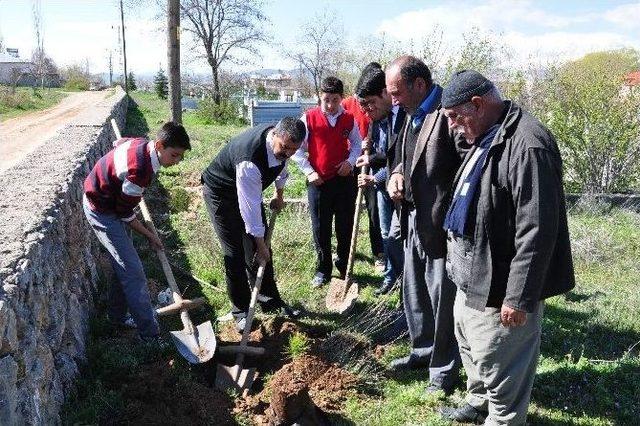 7’den 70’e Fidan Dikmeye Koştular