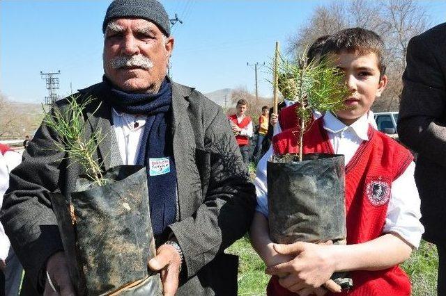 7’den 70’e Fidan Dikmeye Koştular