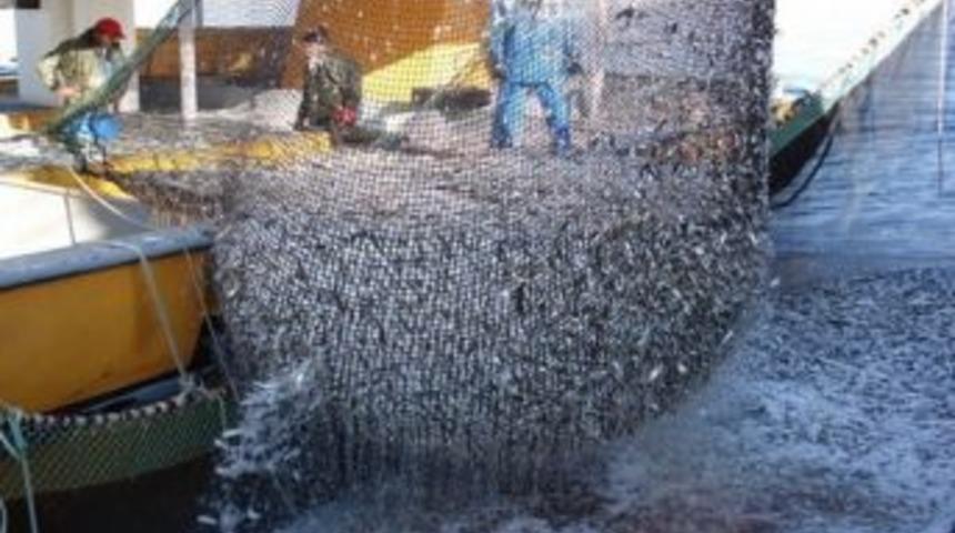 Denizlerde Av Yasağı Başladı