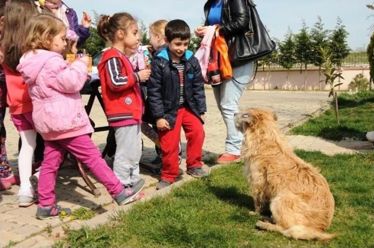 Minik &Ouml;ğrenciler Ge&ccedil;ici Bakımevindeki Hayvanlarla Dost Oldu