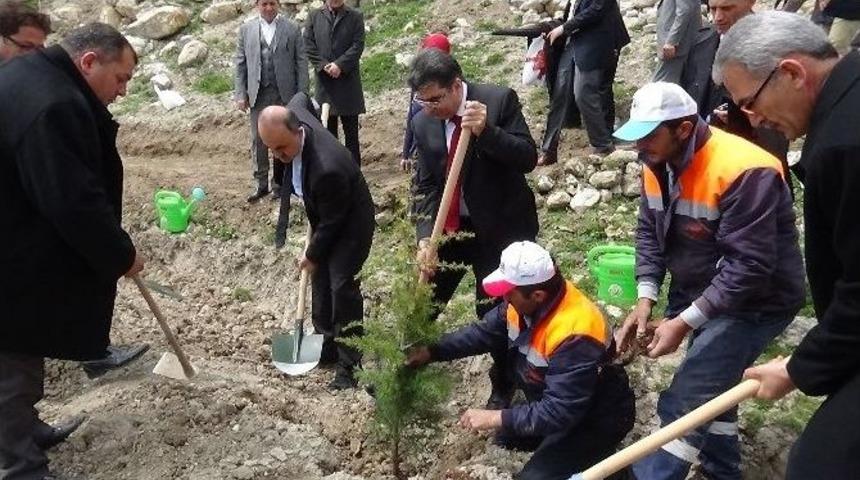 Konya&rsquo;da 75 Bin Fidan Dikildi