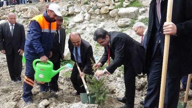 Konya’da 75 Bin Fidan Dikildi