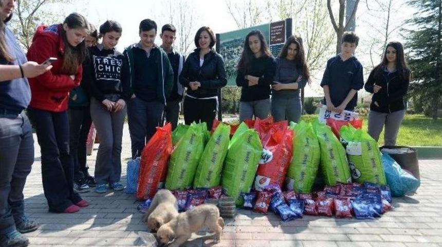 Har&ccedil;lıklarını Can Dostları İ&ccedil;in Harcadılar