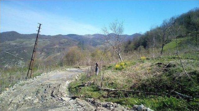 Yedaş&rsquo;ın Hattını &rsquo;toprak&rsquo; Yuttu, Ekipler 48 Saatte Yenisini Koydu 1