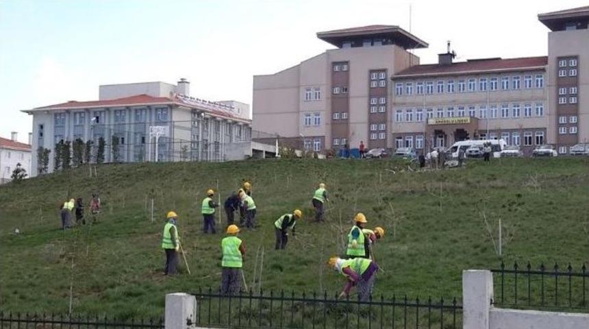 Pazarlar Anadolu Lisesi Bah&ccedil;esi Bakımdan Ge&ccedil;ti