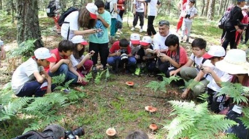Farklı Kurumlardaki &Ouml;ğrenciler Birbirleriyle Kaynaşacak