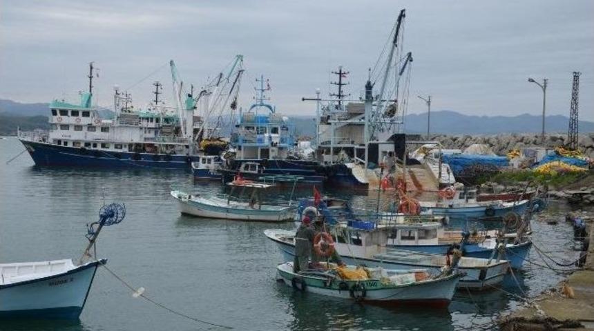 Balık&ccedil;ılar Bu Sezon Umduğunu Bulamadı