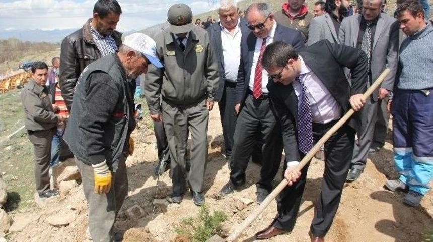 Yahyalı&rsquo;dan Kutlu Doğum Haftası Hatıra Ormanı
