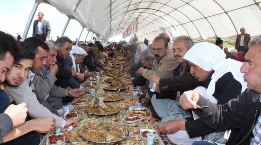 Kutlu Doğum Yemeğine Yoğun İlgi