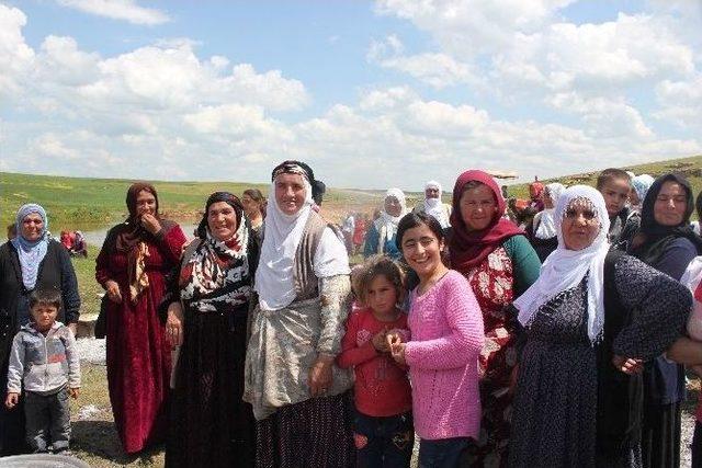 Kutlu Doğum Yemeğine Yoğun İlgi