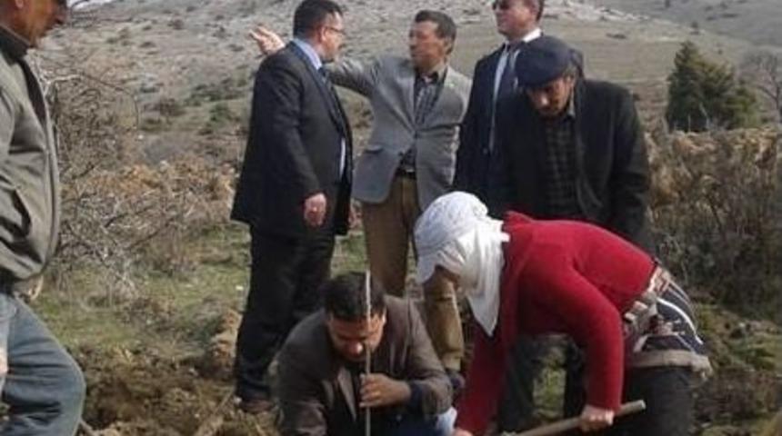 Beylikova&rsquo;da 5 Bin Fidan Toprakla Buluşturuldu