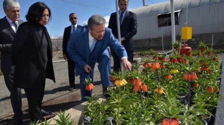 Vali Kahraman; &ldquo;ters Lale Denilince Akla Gelen İlk Şehir Erzincan Olacak&rdquo;