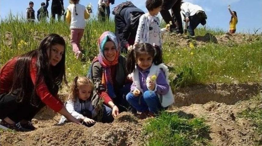 3-6 Yaş Arası &Ccedil;ocuklar, 500&rsquo;e Yakın Fidan Dikti