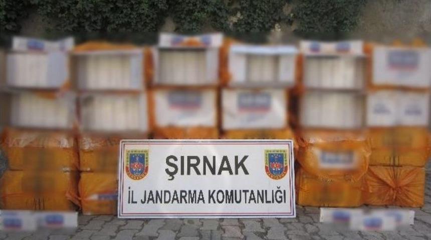 Şırnak&rsquo;ta 566 Bin 930 Paket Ka&ccedil;ak Sigara Ele Ge&ccedil;irildi