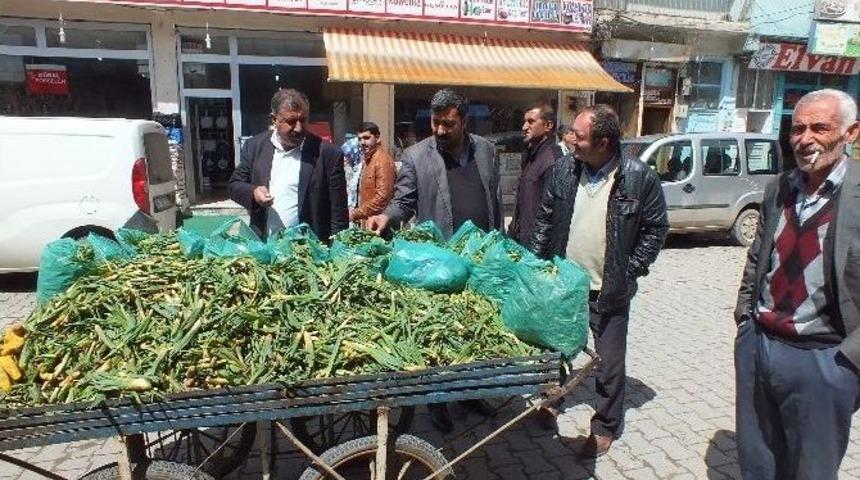 Gulik Otu Ge&ccedil;im Kaynağı Oldu