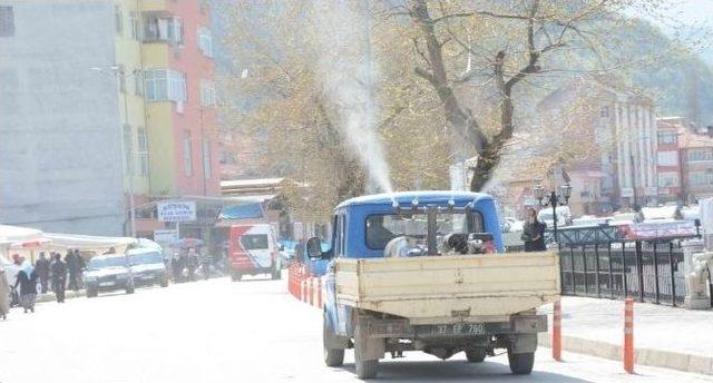 İnebolu Sokakları G&uuml;l Koktu 1