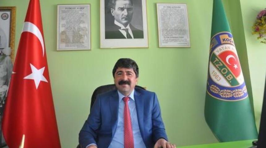 Ko&ccedil;arlı'ya &Ccedil;am Fıstığından 20 Milyonluk Gelir