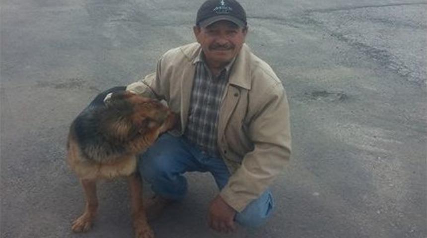 66 K&ouml;pek Sahiplendirildi