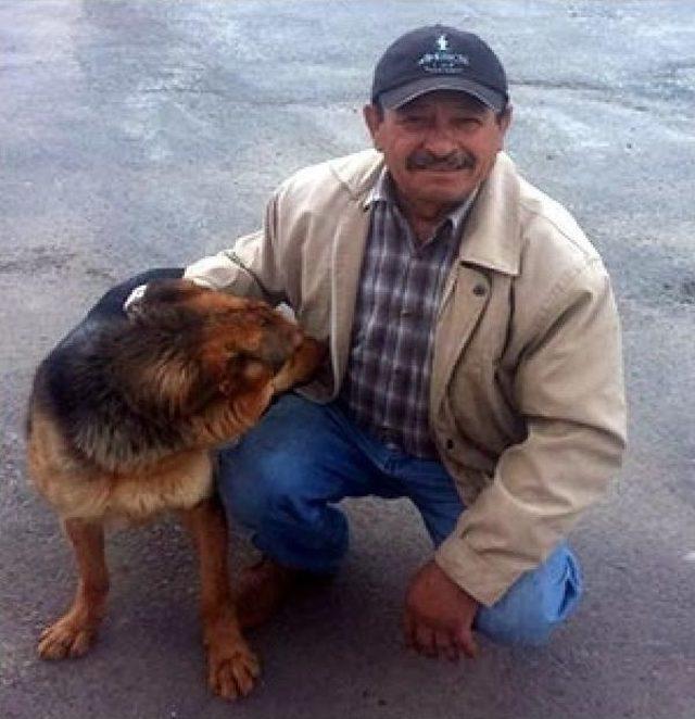 Barınma Evindeki 66 Köpeği Sahiplendiler