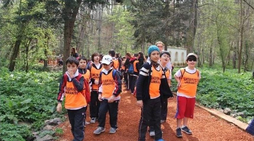 Her Adım Engelleri Ortadan Kaldırmak İ&ccedil;in