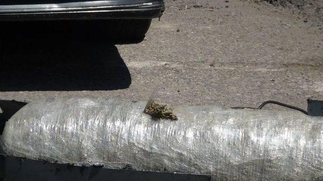 Benzin Deposundan Esrar &Ccedil;ıktı 1