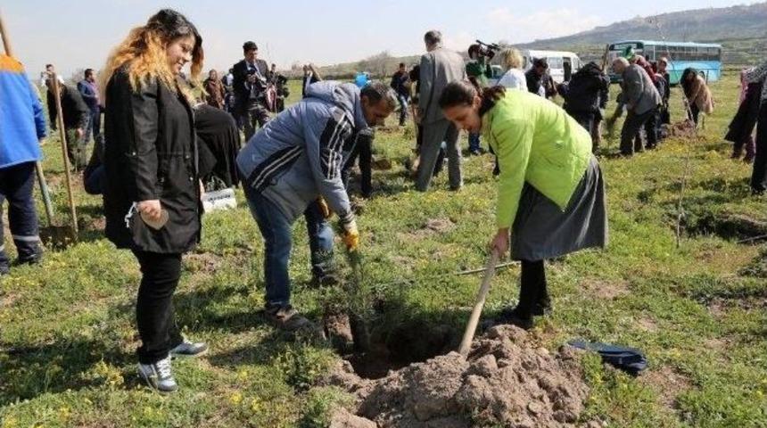 B&ouml;lge Halkı Ve Berksoy &Ouml;zel Eğitim Ve Rehabilitasyon Merkezi&ouml;ğrencilerinin Katılımları İle B&ouml;lge Ağa&ccedil;landırma &Ccedil;alışmaları