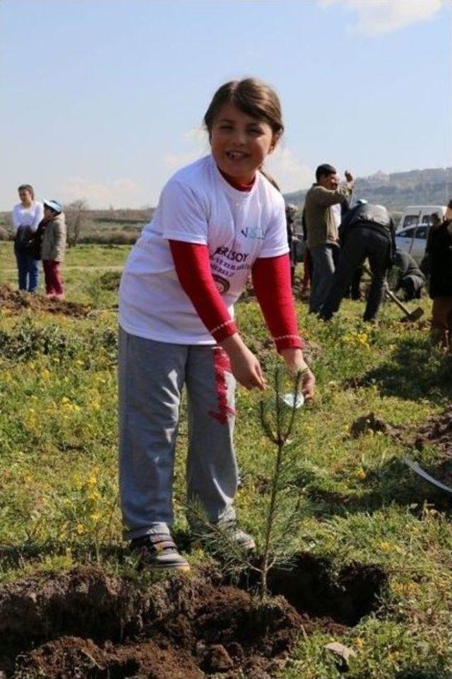 B&ouml;lge Halkı Ve Berksoy &Ouml;zel Eğitim Ve Rehabilitasyon Merkezi&ouml;ğrencilerinin Katılımları İle B&ouml;lge Ağa&ccedil;landırma &Ccedil;alışmaları 1
