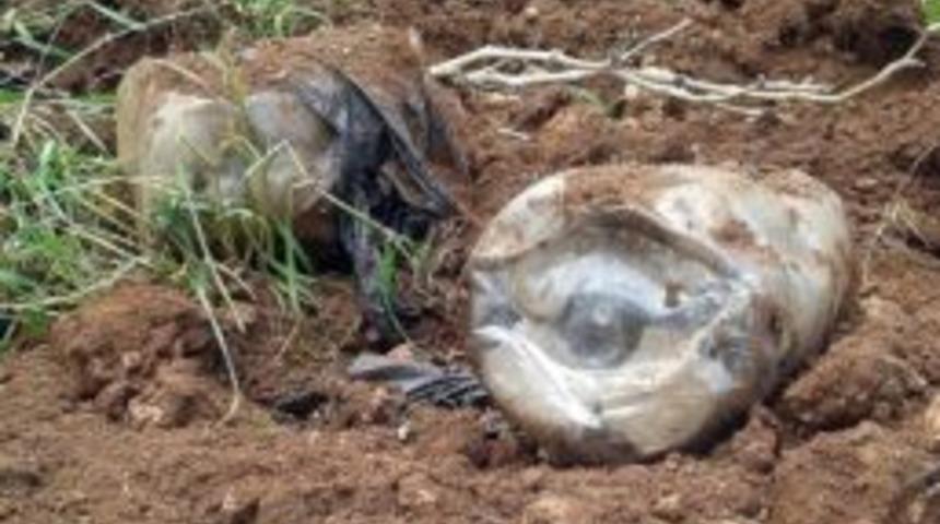 Sınırda Bomba Alarmı