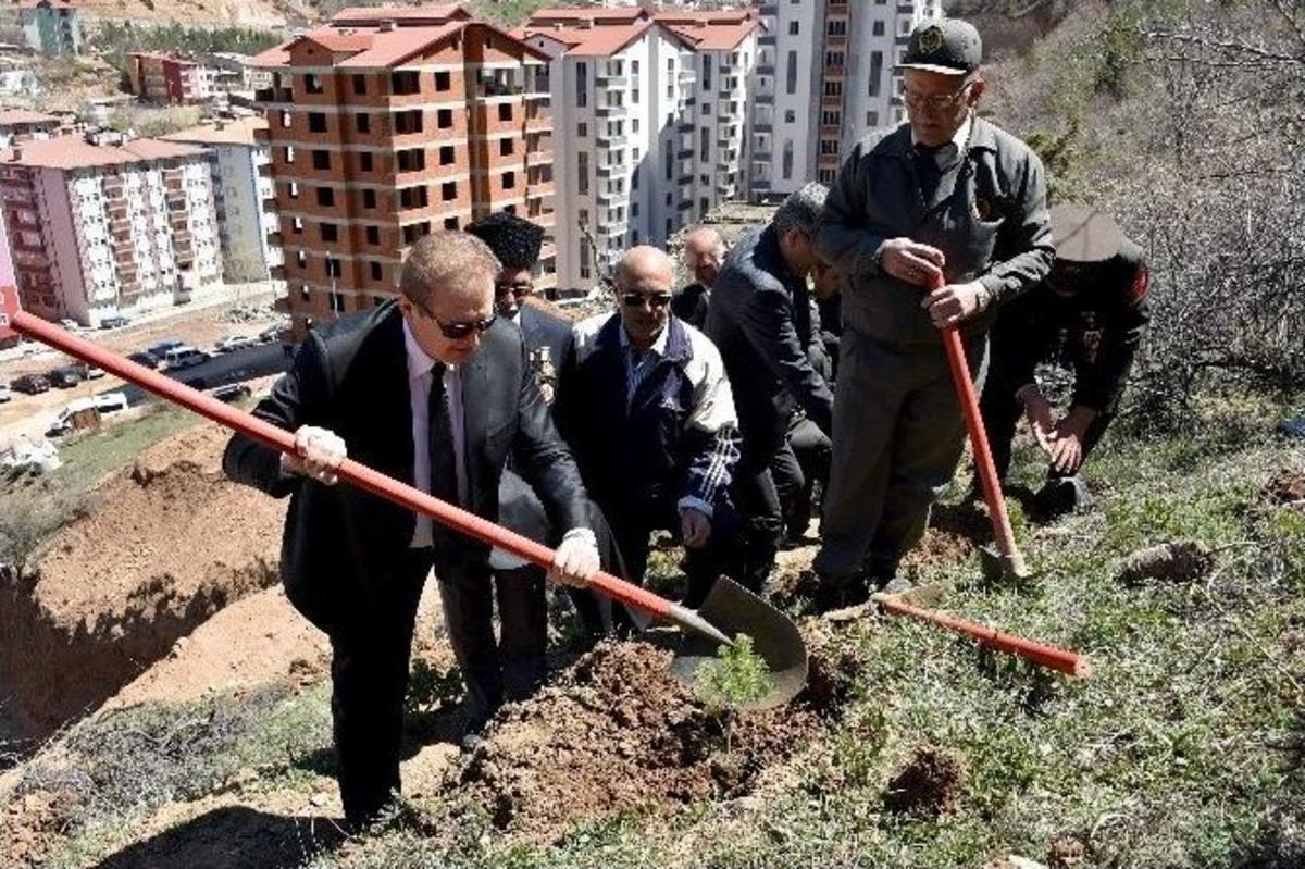 G&uuml;m&uuml;şhane Sarıkamış Şehitleri Ormanı Oluşturuldu